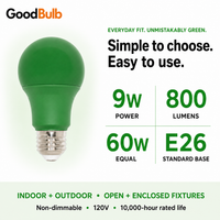 Green 60W Equal colored LED light bulb, A19, E26, 60W equivalent, veterans cause bulb