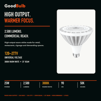PAR38 3000K High Output LED PAR bulb, PAR38, 3000K Warm White, 90+ CRI, halogen replacement flood/spot