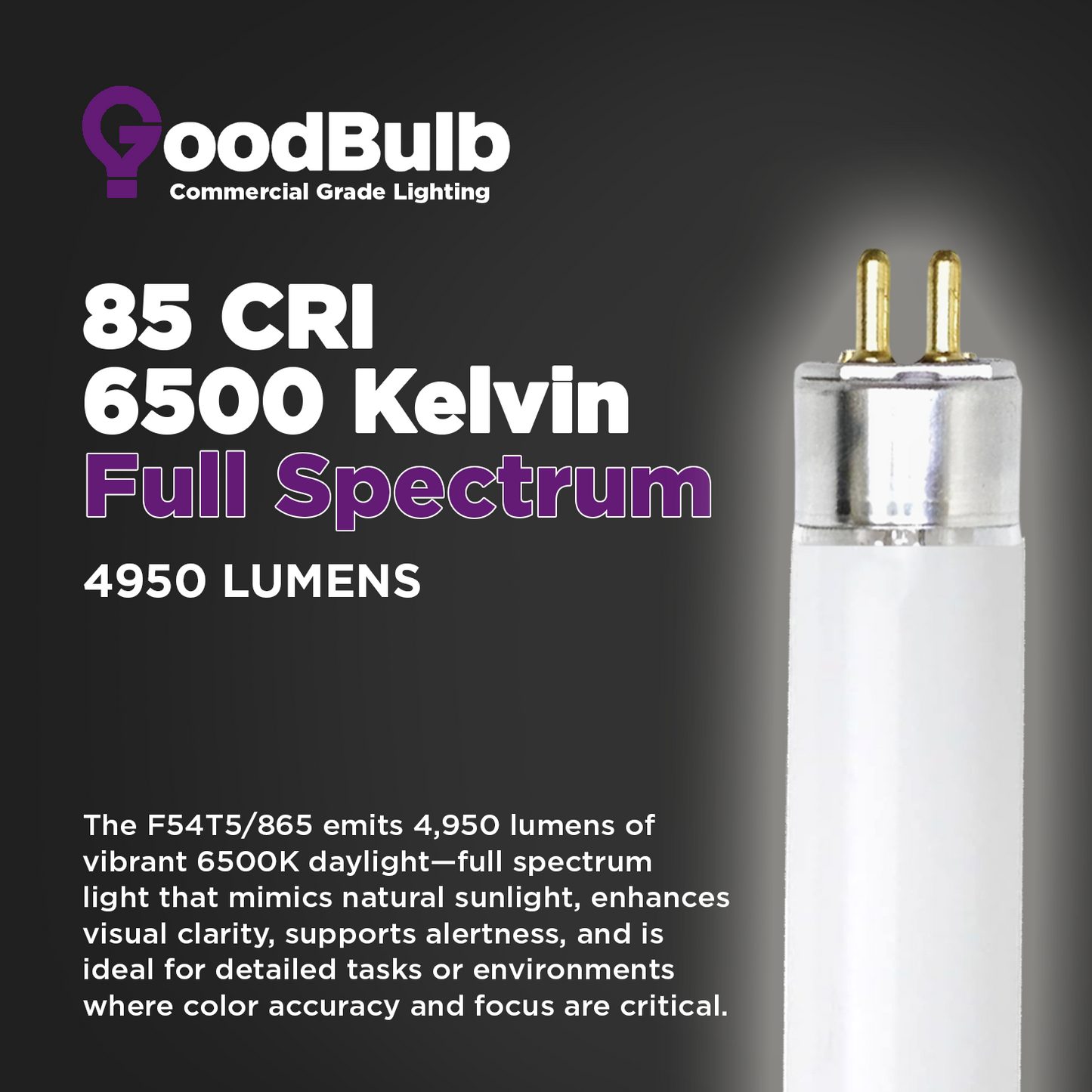 F54T5/865 - 54 Watt 46 Inch T8 Fluorescent Light Bulb - 6500K Full Spectrum - 4950 Lumens - 36,000 Hours