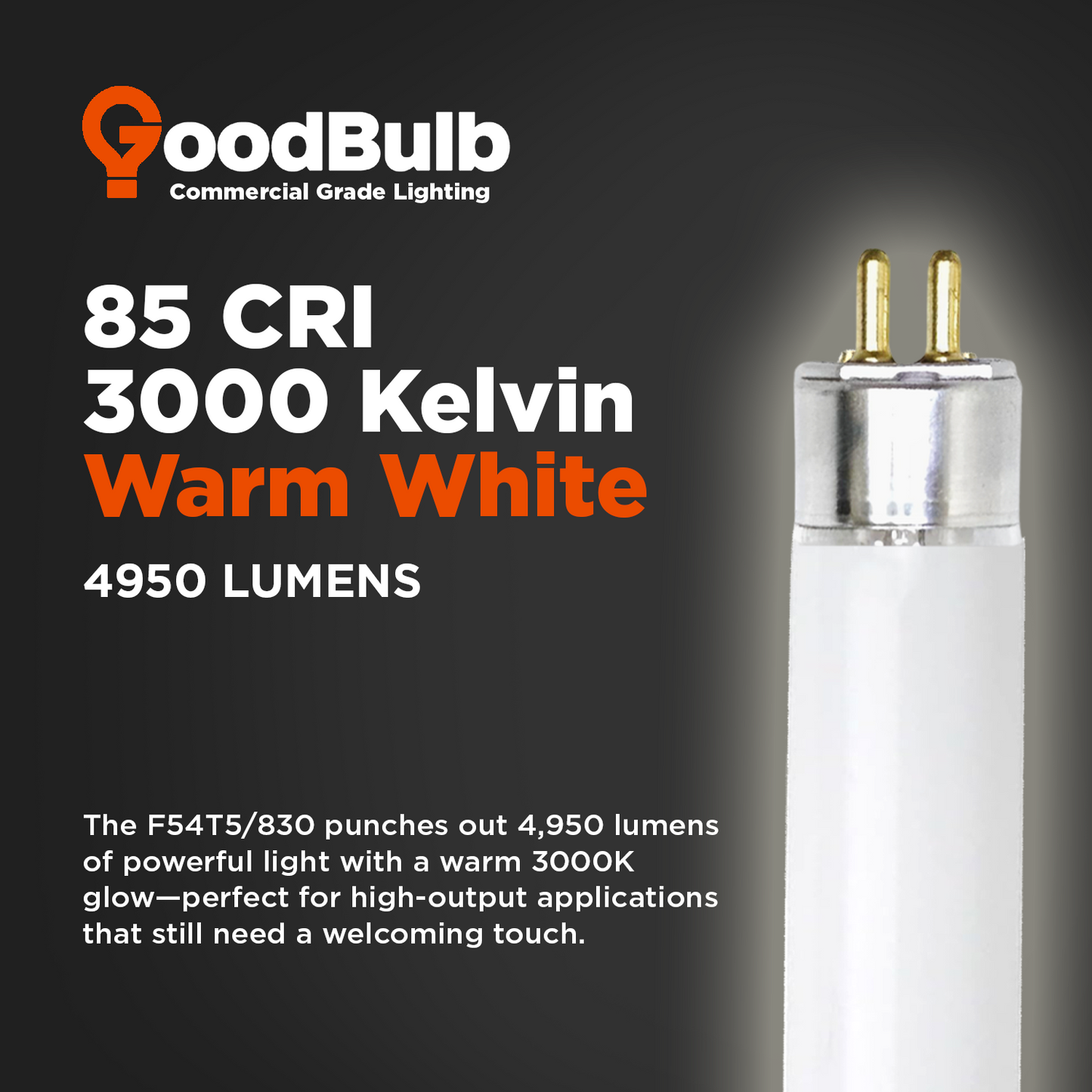 F54T5/830 - 54 Watt 46 Inch T8 Fluorescent Light Bulb - 3000K Warm White - 4950 Lumens - 36,000 Hours