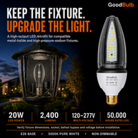 Acorn 20W 100W HID Replacement high output LED bulb, 5000K daylight, E26 / E39 Mogul, 120-277V, HID/halogen replacement