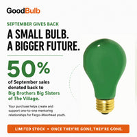 Green 60W Incandescent Classic Filament colored LED light bulb, A19, E26, 60W equivalent, porch cause bulb