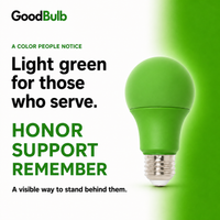 Green 60W Equal colored LED light bulb, A19, E26, 60W equivalent, veterans cause bulb