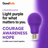 Purple 60W Equal colored LED light bulb, A19, E26, 60W equivalent, epilepsy cause bulb