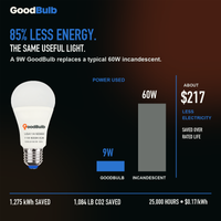 GoodBulb Daylight 5000K A19 LED bulb, made in USA, Fargo North Dakota