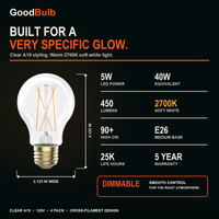 A19 Filament Soft White Glow LED filament bulb, clear glass, E26 Medium, dimmable vintage Edison style, 90 CRI