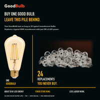 ST19 Edison Nostalgic Amber LED filament bulb, amber glass, E26 Medium, dimmable vintage Edison style, 90 CRI