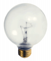 60W G25 Globe Bulb - Clear E26 130V