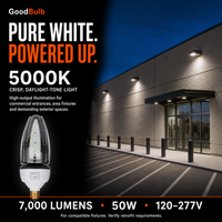 Acorn 50W 300W HID Replacement high output LED bulb, 5000K daylight, E26 / E39 Mogul, 120-277V, HID/halogen replacement