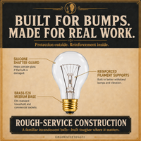 60-Watt Incandescent Light Bulb, Rough Service A19, Dimmable