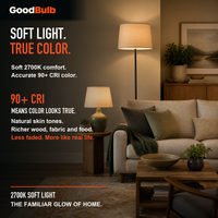 GoodBulb Soft White 2700K A19 LED bulb, made in USA, Fargo North Dakota
