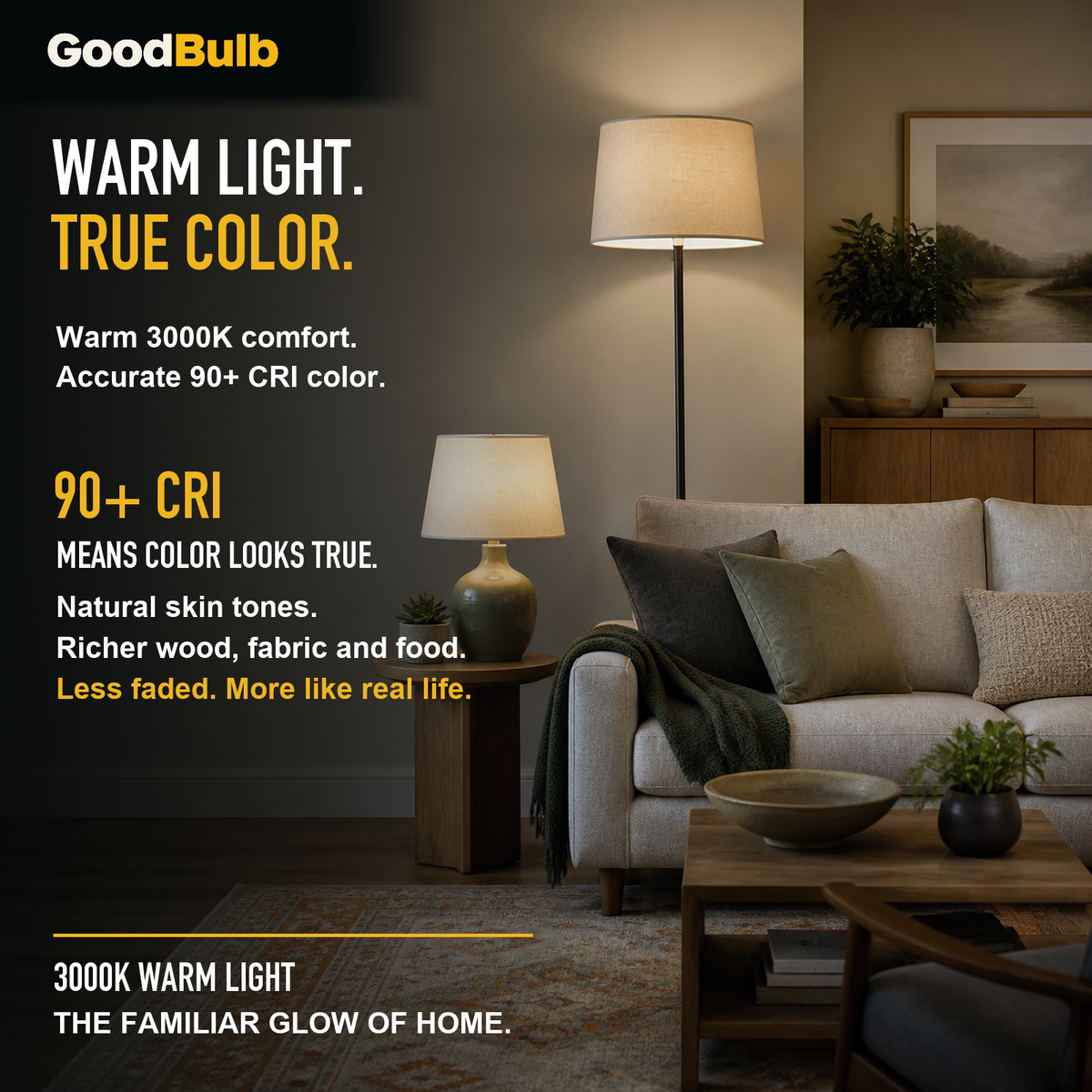 GoodBulb Warm White 3000K A19 LED bulb, made in USA, Fargo North Dakota