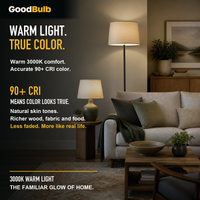 GoodBulb Warm White 3000K A19 LED bulb, made in USA, Fargo North Dakota