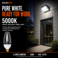 Acorn 20W 100W HID Replacement high output LED bulb, 5000K daylight, E26 / E39 Mogul, 120-277V, HID/halogen replacement