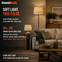 GoodBulb Soft White 2700K A19 LED bulb, made in USA, Fargo North Dakota