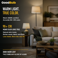 GoodBulb Warm White 3000K A19 LED bulb, made in USA, Fargo North Dakota