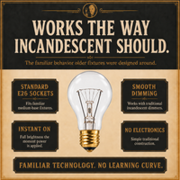 60-Watt Incandescent Light Bulb, Rough Service A19, Dimmable