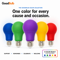 Green 60W Equal colored LED light bulb, A19, E26, 60W equivalent, veterans cause bulb