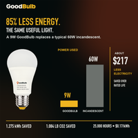 GoodBulb Warm White 3000K A19 LED bulb, made in USA, Fargo North Dakota