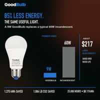 GoodBulb Daylight 5000K A19 LED bulb, made in USA, Fargo North Dakota