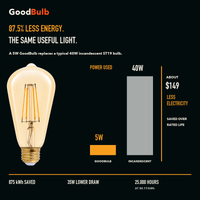 ST19 Edison Nostalgic Amber LED filament bulb, amber glass, E26 Medium, dimmable vintage Edison style, 90 CRI