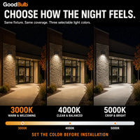 Dark Sky LED Wall Pack, 30/63/90/125W Selectable, 3 CCT
