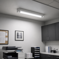2FT LED T8 Tube LED T8 tube, 4000K Cool White or 5000K Daylight, G13 Bi-Pin, plug and play or ballast bypass, fluorescent replacement