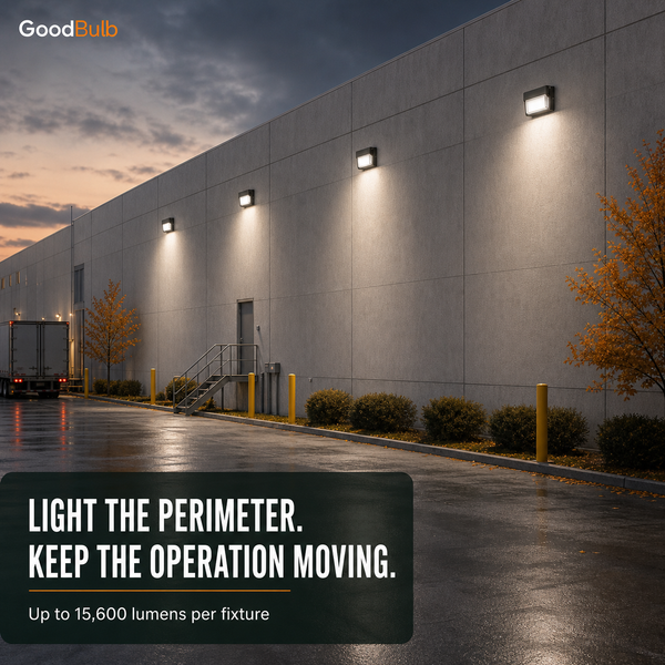 LED Wall Pack, 60/90/100/120W Selectable, 3 CCT, Dimmable