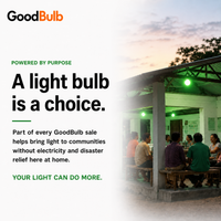 Green 60W Equal colored LED light bulb, A19, E26, 60W equivalent, veterans cause bulb