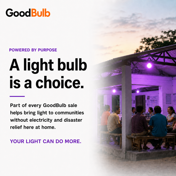 Purple LED Light Bulb, 60W Equal, A19 E26, Awareness