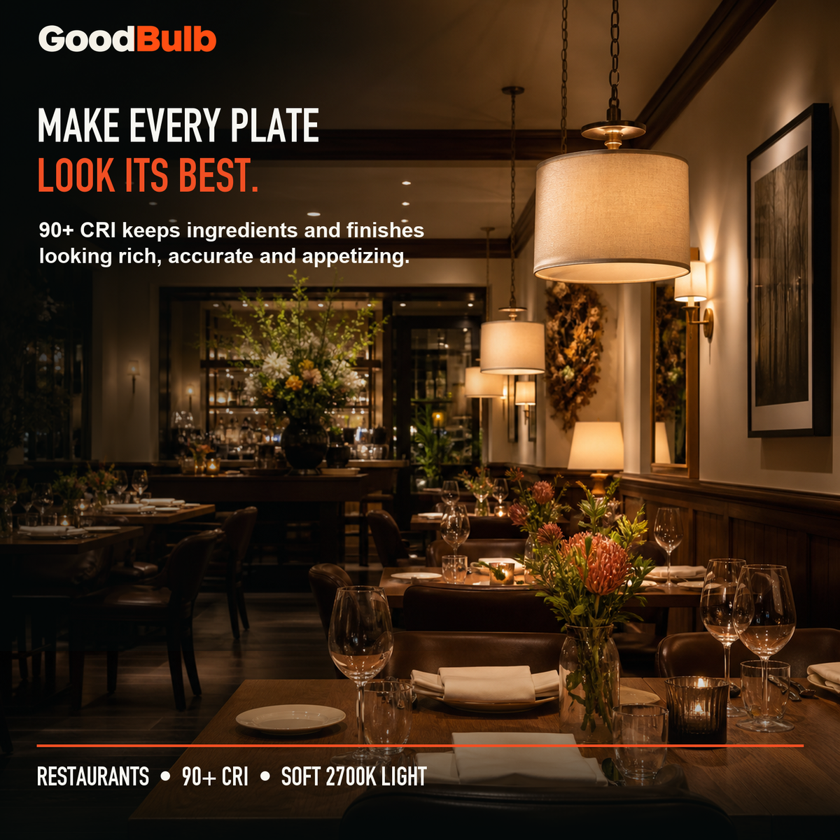 GoodBulb Soft White 2700K A19 LED bulb, made in USA, Fargo North Dakota