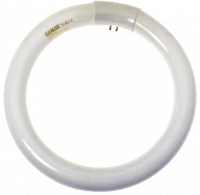 30W T9 Circline Compact Fluorescent Lamp