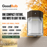 Mini Wall Pack 18/25/30W Selectable commercial LED fixture, selectable wattage and CCT, 120-277V, DLC 5.1 Premium, utility rebate eligible