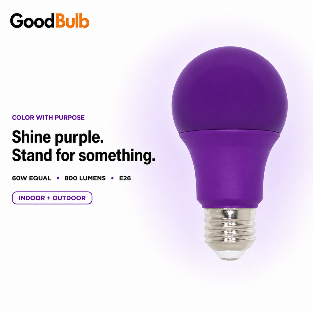 Purple 60W Equal colored LED light bulb, A19, E26, 60W equivalent, epilepsy cause bulb