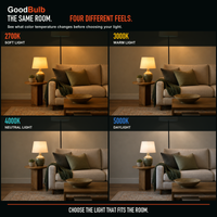 GoodBulb Warm White 3000K A19 LED bulb, made in USA, Fargo North Dakota