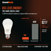 GoodBulb Soft White 2700K A19 LED bulb, made in USA, Fargo North Dakota
