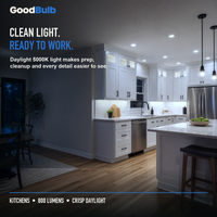 GoodBulb Daylight 5000K A19 LED bulb, made in USA, Fargo North Dakota