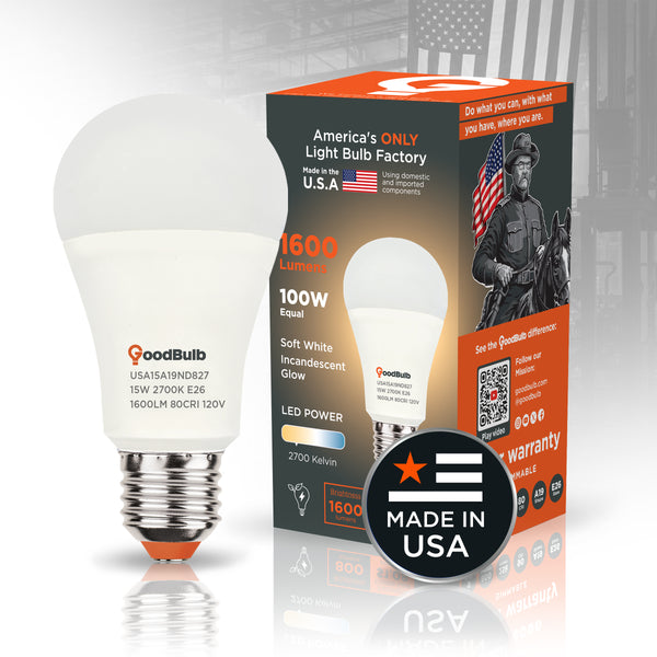 100W Equal LED A19