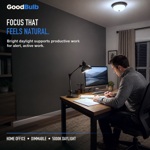 Made in America | 75W Equal | 1200 Lumens | LED A19 DAYLIGHT 5000K Bright, True Daylight