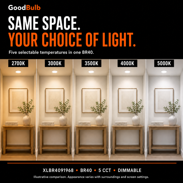 BR40 LED Flood Light Bulb, Selectable Color, 75W Equal