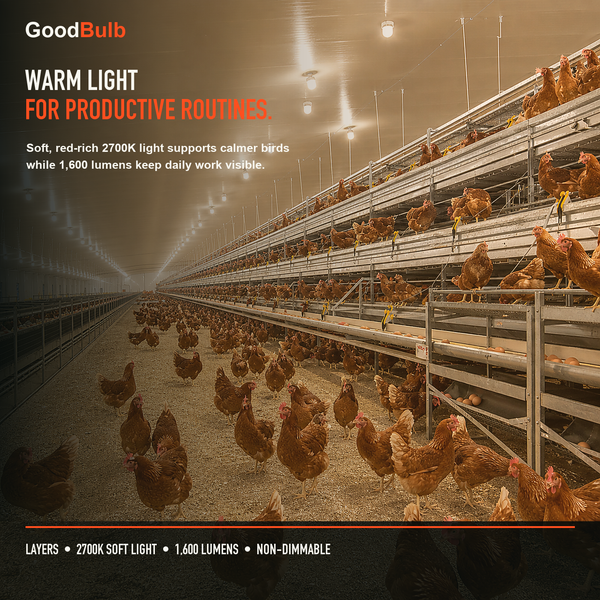 Made in America | 100W Equal | 1600 Lumens | LED A19 SOFT WHITE 2700K True-To-Life Color