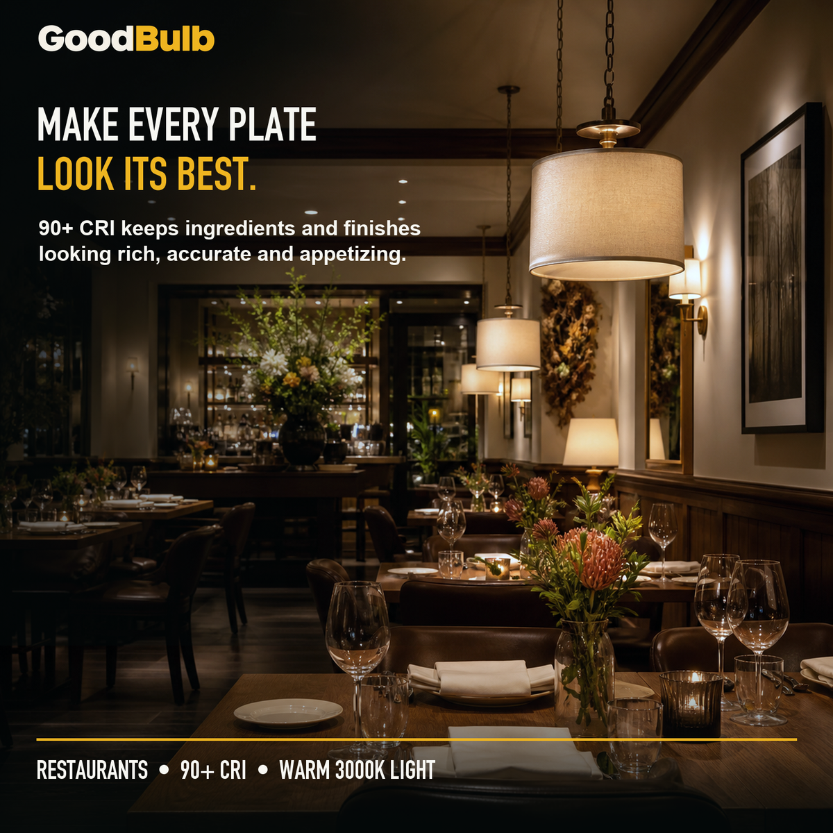 GoodBulb Warm White 3000K A19 LED bulb, made in USA, Fargo North Dakota