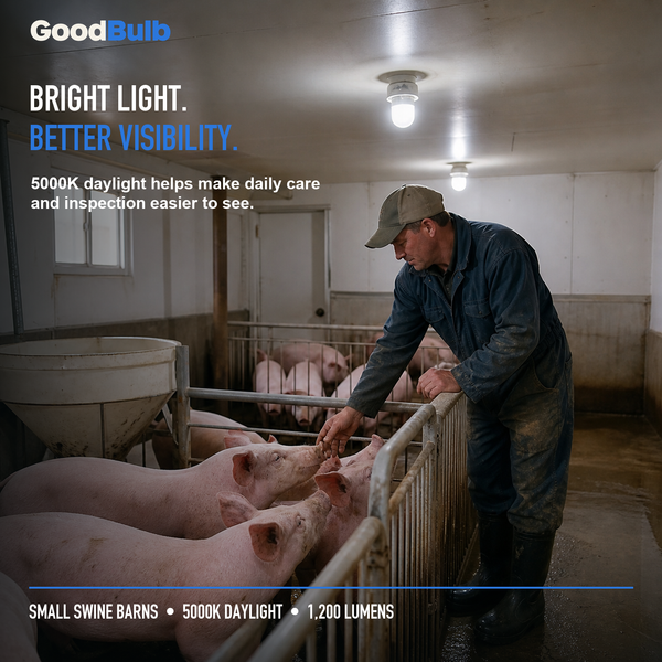 Made in America | 75W Equal | 1200 Lumens | LED A19 DAYLIGHT 5000K Bright, True Daylight