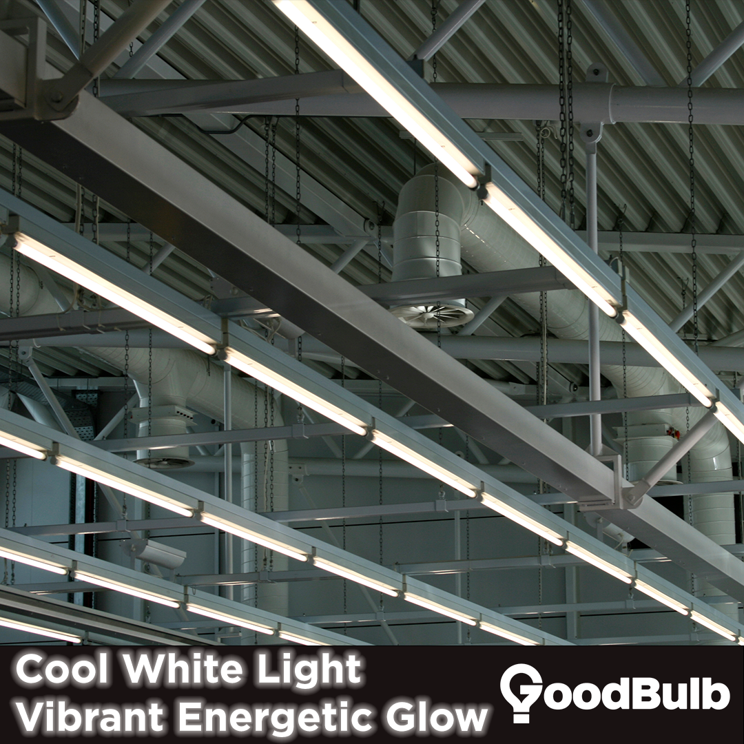 Light is emitted at a vibrant energetic glow with a cool white color temperature.