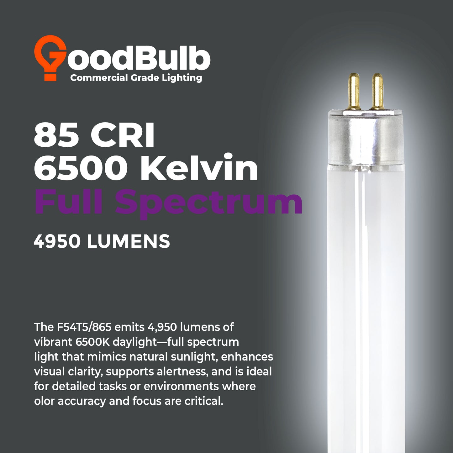 6500K daylight color temperature – F54T5/865 T5 high output fluorescent lighting tube