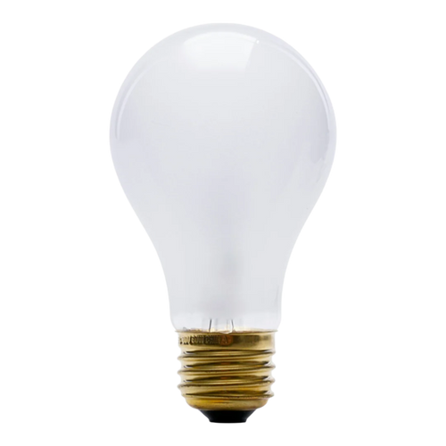 60-Watt Incandescent Light Bulb, Rough Service A19, Dimmable
