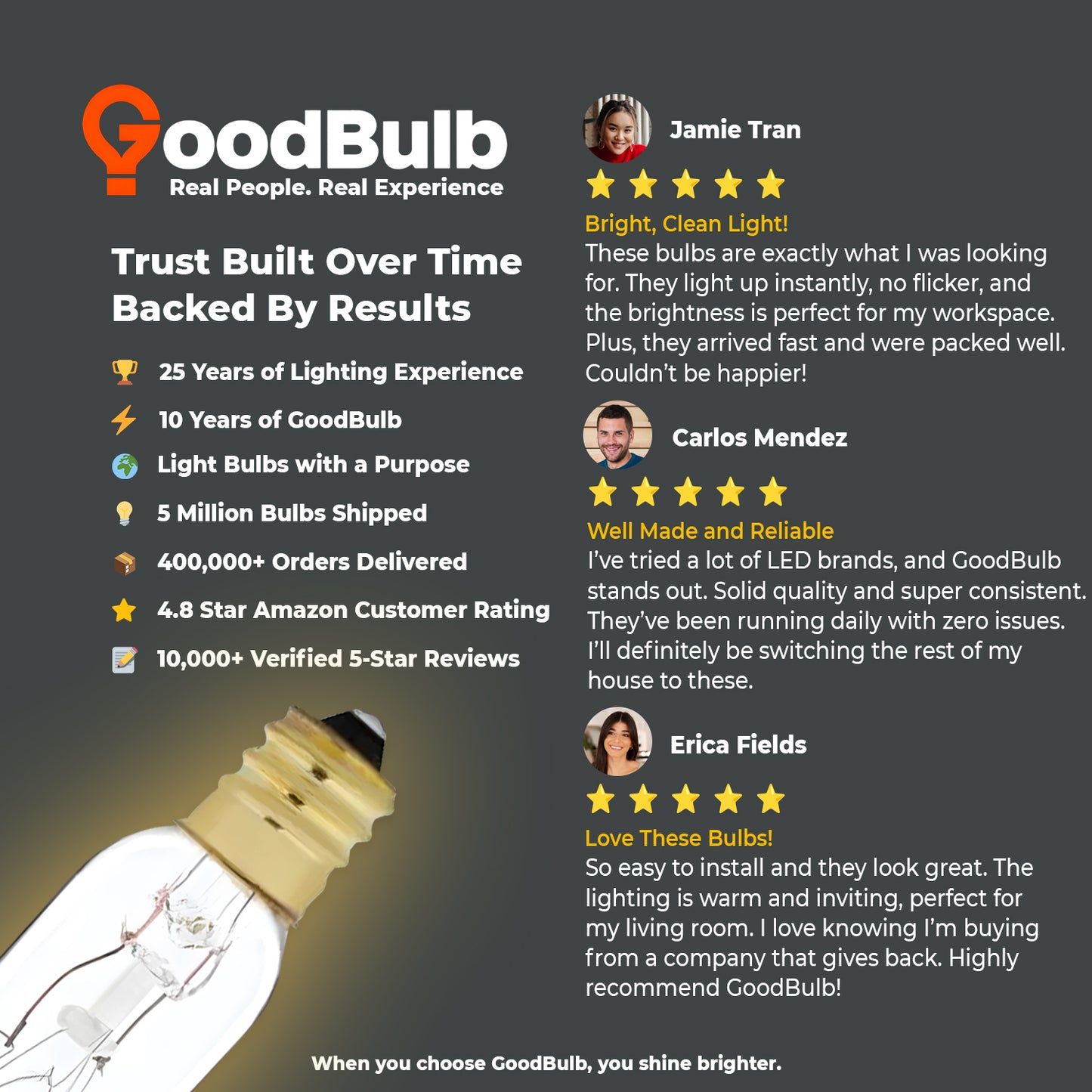 Customer review praising brightness and longevity of GB25WT6E12CL6 slim T6 incandescent bulb