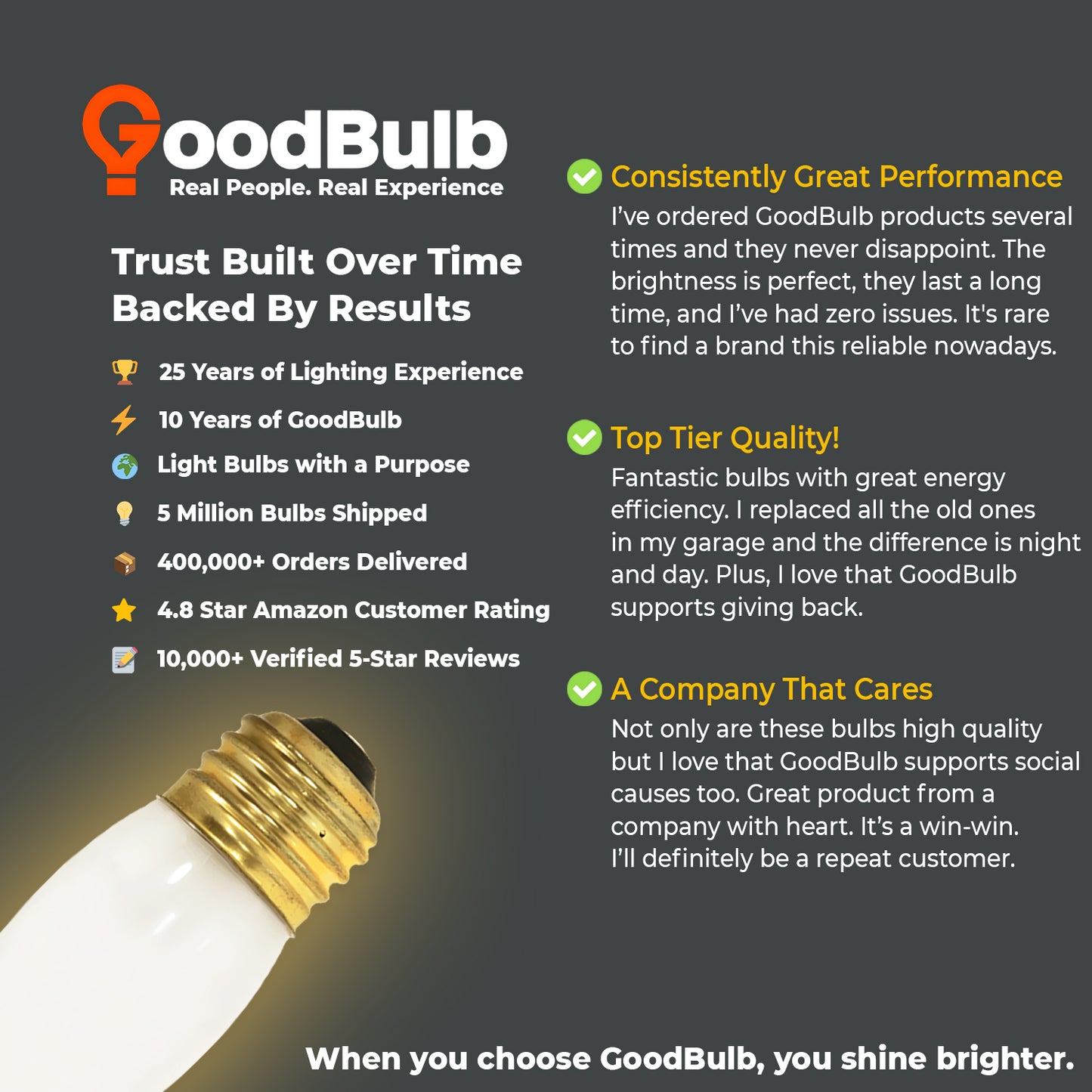 User testimonial highlighting brightness and quality of GB25ETF12 25W frosted light bulb