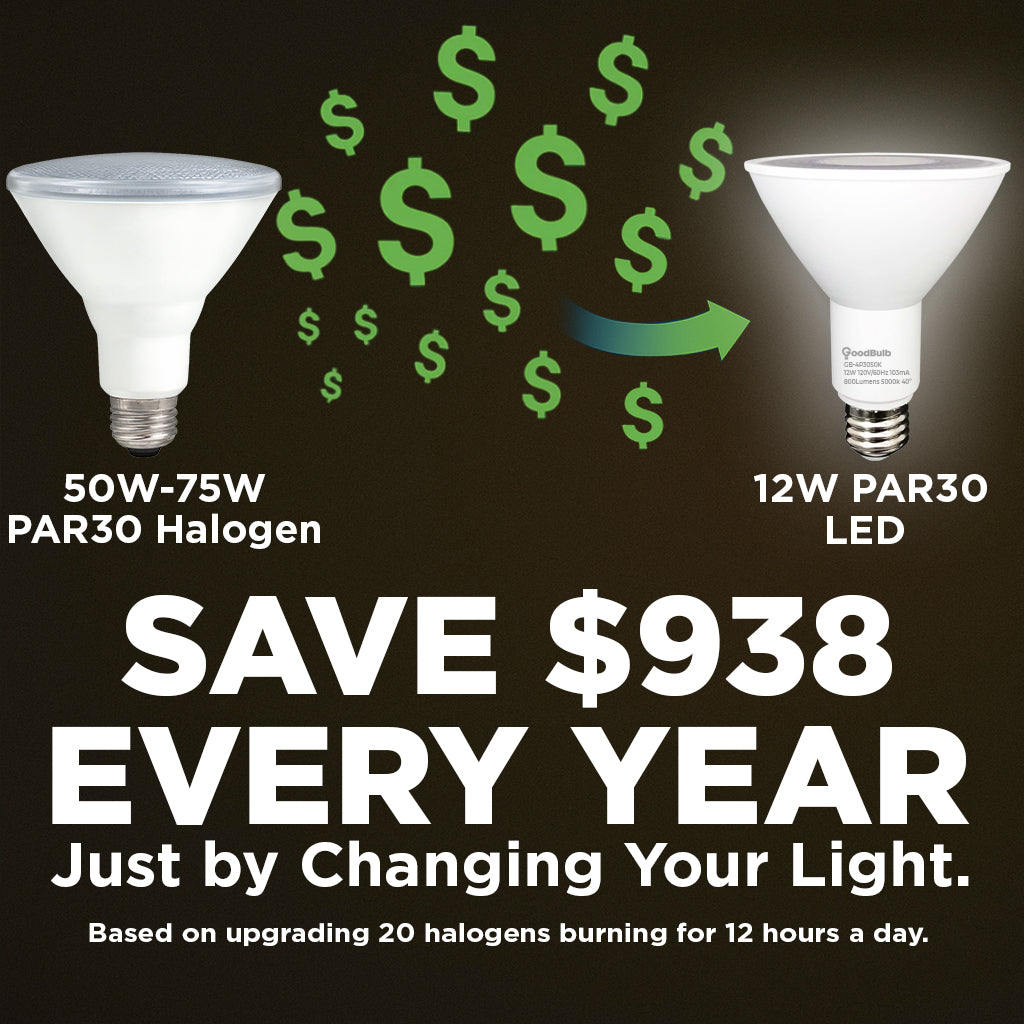 75w HALOGEN UPGRADE - 12 WATT DIMMABLE LED PAR30 LN - 82 CRI - PLATINUM PURE WHITE - 800 LUMENS - 5000 KELVIN - ROUGH SERVICE - 25,000 HOURS & 3 YEAR