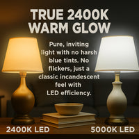 Sunset LED A21 | 100W Equal | 2400K Soft Warm Light